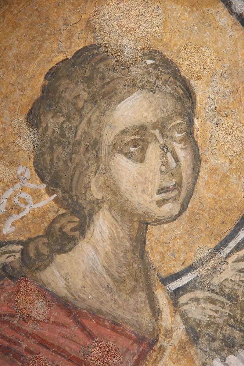 Pictură murală pronaos - Mănăstirea Tismana